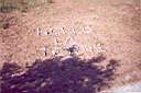 BELLE PHRASE